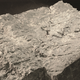 Illustration for article titled Ancient Worms May Have Saved Life on Earth 530 Million Years Ago